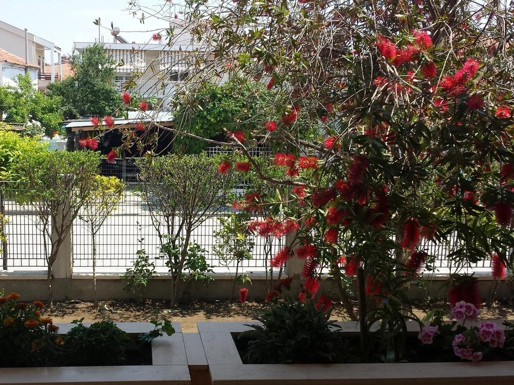 Zach'S House Βίλα Νέα Ρόδα Εξωτερικό φωτογραφία