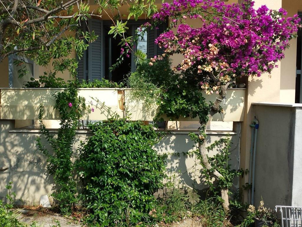 Zach'S House Βίλα Νέα Ρόδα Εξωτερικό φωτογραφία